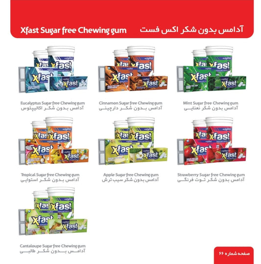 Xylitol X-Fast Sugar Free Gum | Imported Xfast Bubble Gum | Tropical Fruits Flavor Chewing Gum | Multi Flavours | Apple , Strawberry, Tropical Fruits, Mint, Cinnamon